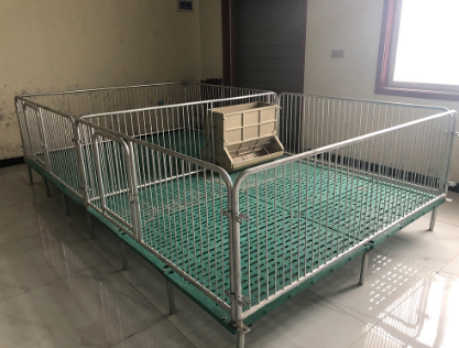 母豬定位欄的隔板和后門(mén)有什么作用？
